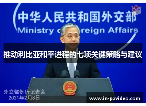 推动利比亚和平进程的七项关键策略与建议 推动利比亚和平进程的七项关键策略与建议