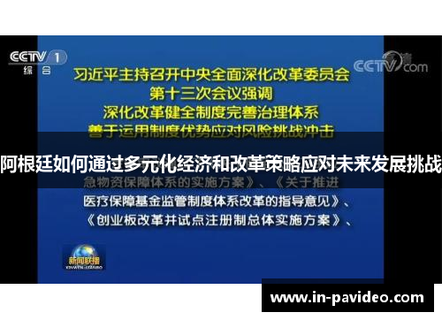 阿根廷如何通过多元化经济和改革策略应对未来发展挑战