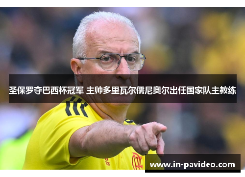 圣保罗夺巴西杯冠军 主帅多里瓦尔儒尼奥尔出任国家队主教练