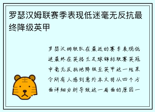 罗瑟汉姆联赛季表现低迷毫无反抗最终降级英甲 罗瑟汉姆联赛季表现低迷毫无反抗最终降级英甲